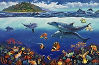 Reef Serenade Fine Art Print