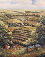 Valley C Fine Art Print