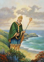 St. Patrick Fine Art Print