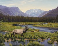 Meadows Of Grand Lake, Colorado Fine Art Print