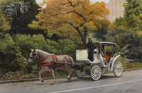 Carriage At Central Park Fine Art Print