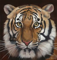Tiger Fine Art Print