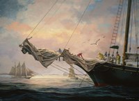 Star Of India Fine Art Print