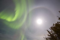 Aurora borealis, Full Moon, Halo and Venus by Lake Laberge, Yukon, Canada Fine Art Print