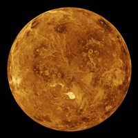 Venus II Fine Art Print
