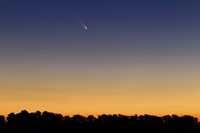 Comet Panstarrs III Fine Art Print