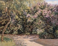 Lilac Trees Fine Art Print