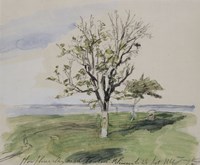 Honfleur, Garden With Two Fruit Trees, Seaside, 1864 Fine Art Print