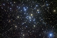 M41, a bright open star cluster located in the Constellation Canis Major Fine Art Print