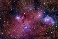NGC 6559 is a rich colorful tapestry of diverse nebulosity in the Constellation Sagittarius Fine Art Print