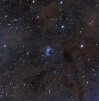 The bright star VdB 16, dust and nebulosity in the Constellation Aries Fine Art Print