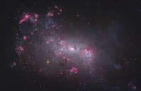 NGC 4449, an irregular galaxy in the Constellation Canes Venatici Fine Art Print