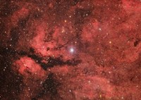 The Sadr region in the Constellation Cygnus Fine Art Print