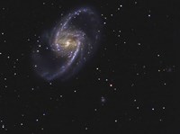 NGC 1365 is a barred spiral galaxy in the Constellation Fornax Fine Art Print