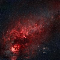Constellation Cygnus with multiple nebulae visible Fine Art Print