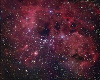 IC 410 emission Nebula in Auriga Fine Art Print