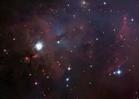 NGC 1999 is a dust filled bright Nebula Fine Art Print