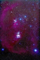 Orion Nebula, Belt of Orion, Sword of Orion and Nebulosity Fine Art Print