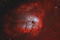 Tadpole Nebula II Fine Art Print