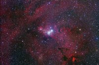 NGC 2264, The Cone Nebula Region Fine Art Print