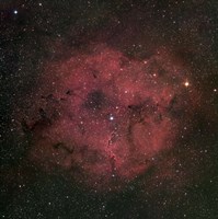The large IC 1396 emission Nebula complex Fine Art Print