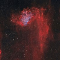 Flaming Star Nebula I Fine Art Print