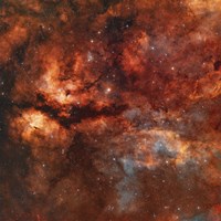 IC 1318 and the Butterfly Nebula around star Gamma-Cygni Fine Art Print