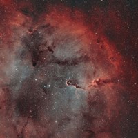 IC 1396, The Elephant Trunk Nebula Fine Art Print