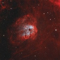 Tadpole Nebula I Framed Print
