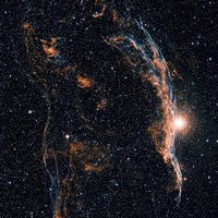 Witch's Broom Nebula (NGC 6960), and part of the Veil Nebula by Charles Shahar - various sizes