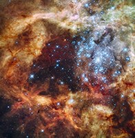 Stellar nursery known as R136 in the 30 Doradus Nebula Fine Art Print