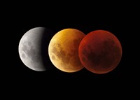 Composite image of lunar Eclipse, Victoria, Australia Fine Art Print