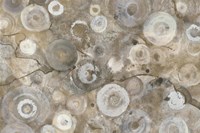 Neutral Agate Fine Art Print