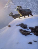 Canyon Shadows Fine Art Print