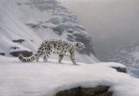 Winter's Solitude Fine Art Print