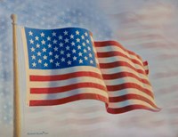 American Flag 5 Fine Art Print