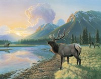 Sunset Fine Art Print