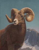 High In The Rockies Fine Art Print