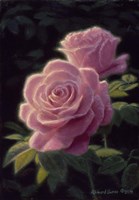 Sunset Glow Fine Art Print