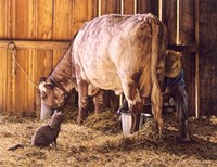 All In Good Time Fine Art Print