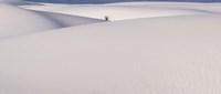 White Sands Fine Art Print