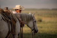 Companion Fine Art Print