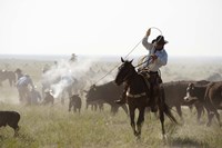 Heeler Fine Art Print