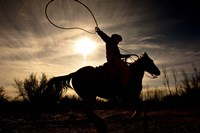 Let Her Fly Fine Art Print