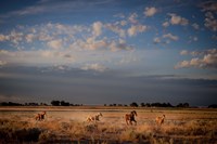 Open Spaces Fine Art Print