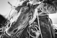 Soul of the West Fine Art Print