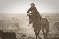 Work Hard Play Hard Fine Art Print