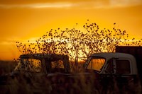 Beauty After Life Fine Art Print