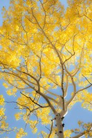 Change Fine Art Print