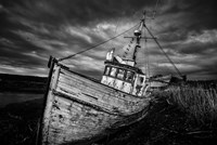 Forgotton Fine Art Print